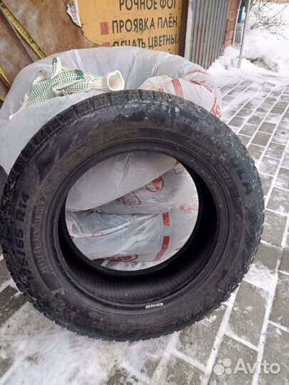 Pirelli Formula Ice 175/65 R14