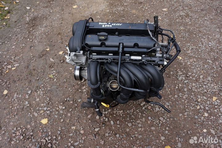 Двигатель Ford Focus 2 1.6 shdb, shda