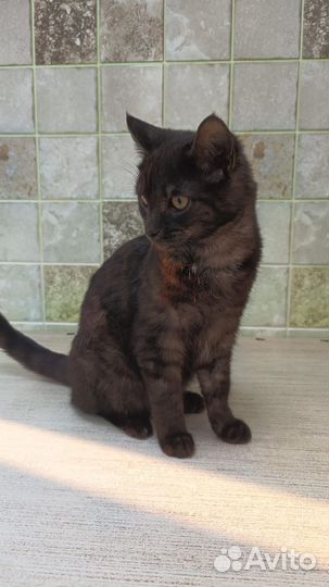 Молоденький мальчик