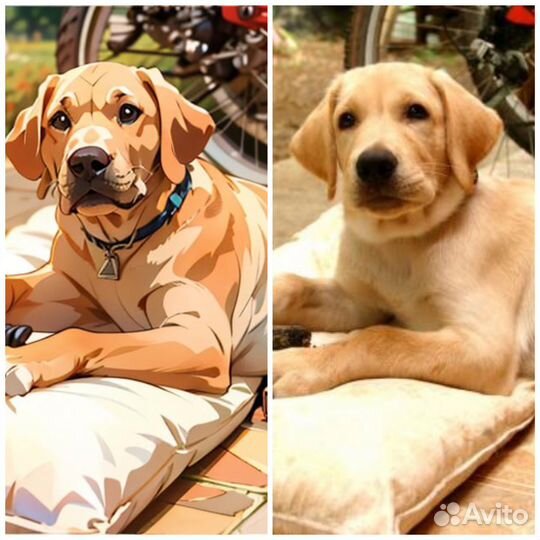 Услуги фотошопа