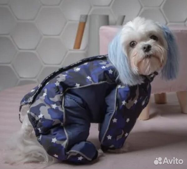 Комбинезон для собак, р.2XL