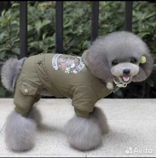 Одежда для собак и кошек