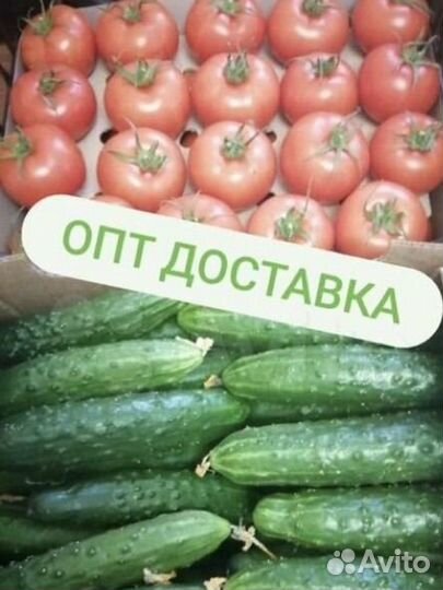 Овощи и фрукты оптом доставка