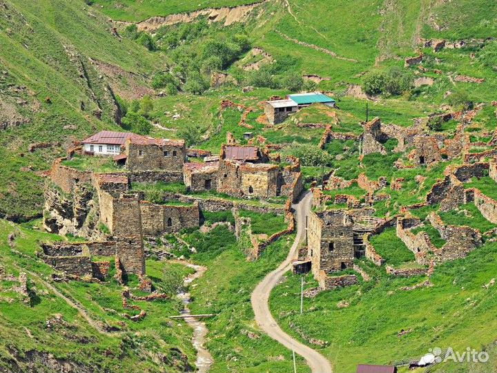 Экскурсия — Владикавказ — Национальный парк Алания