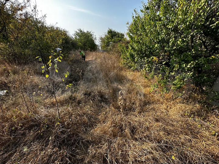 Участок 5,5 сот. (СНТ, ДНП)