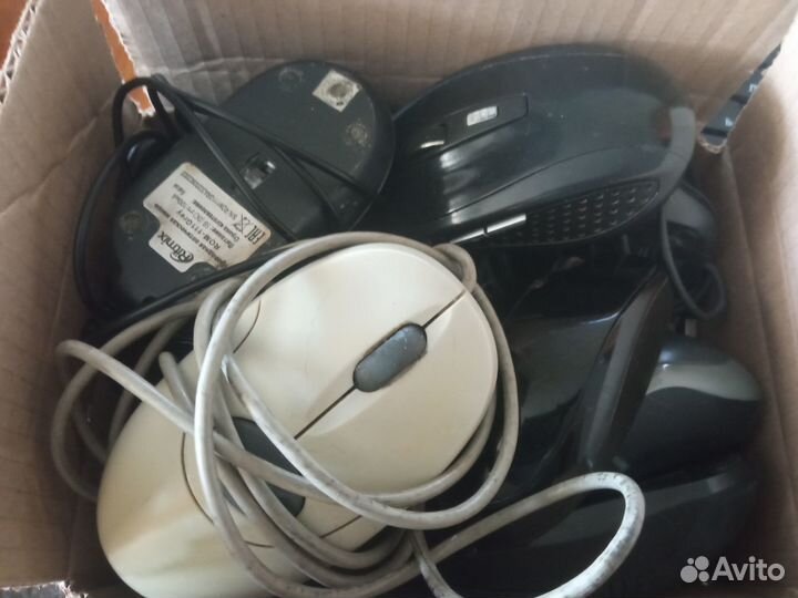 Коробка мышей