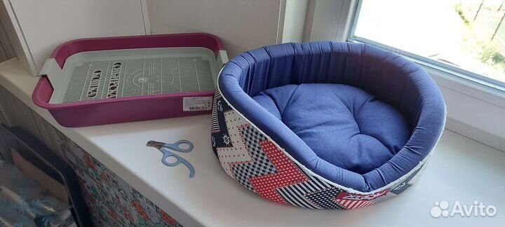 Лоток для кошки, ножницы для когтей и лежанка