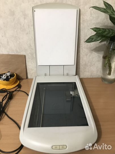 Сканер hp scanjet 2400