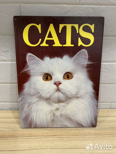 Angela Sayer Cats / Кошки 1984 год