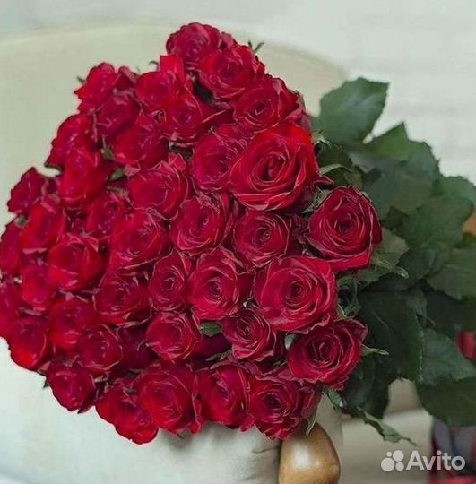 Высокие Розы с Доставкой