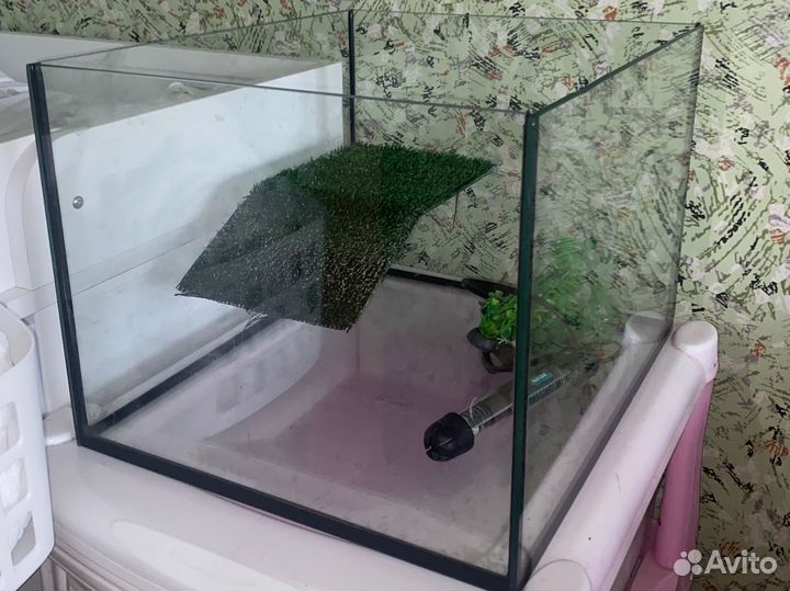 Аквариум для черепах