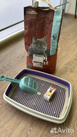 Кошачий наполнитель комкующийся