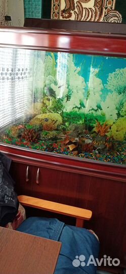 Аквариум на 400 литров. б/у