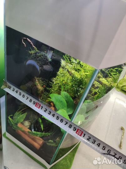 Аквариум 50 литров