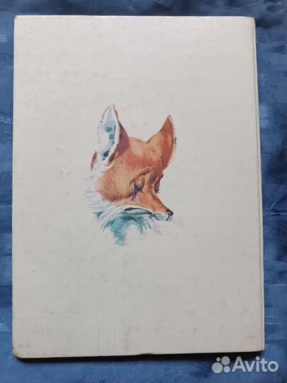 Книга Пинокио