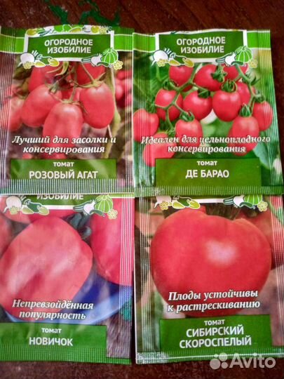 Рассада томатов