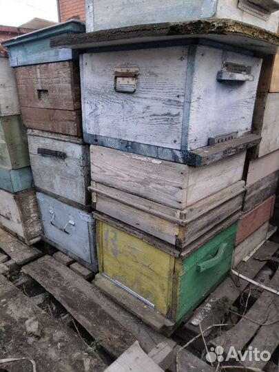 Ульи для пчел б/у