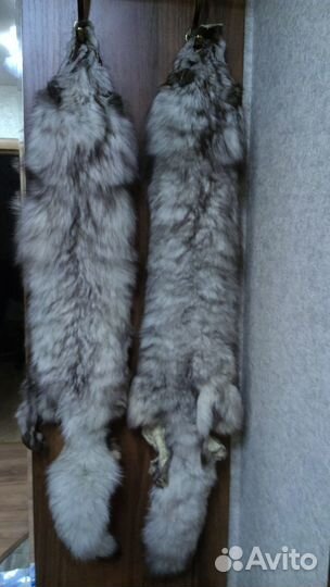 Шкурки песца(чулок)