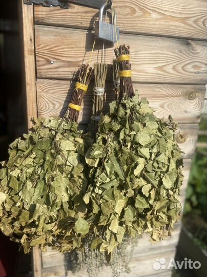 Березовые веники для бани