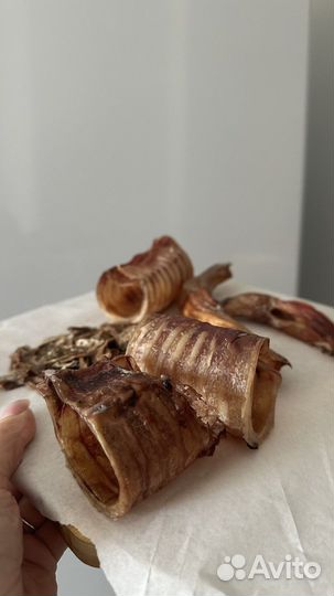 Трахея говяжья для собак