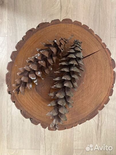 Шишки для панно, букетов, картин