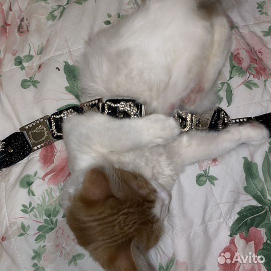 Ремень женский