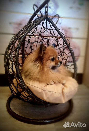 Лежанка для животных