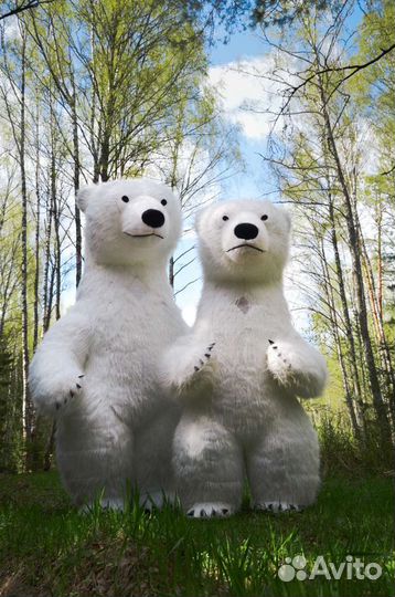 Поздравление от Белого Мишки