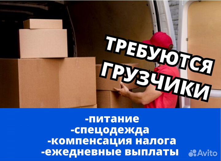 Грузчик ежедневная оплата. Код:eq566