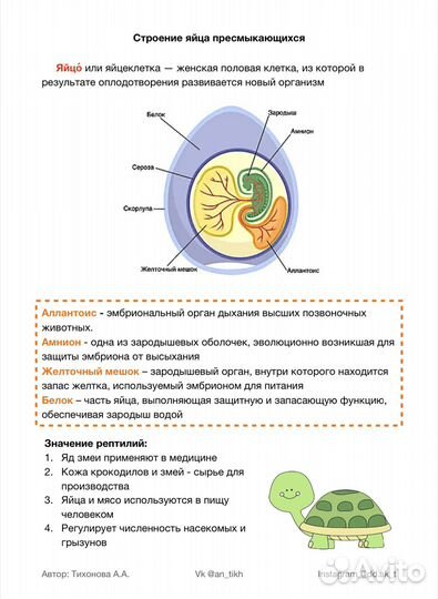 Репетитор по биологии егэ