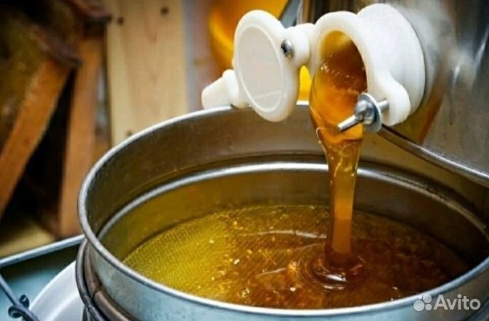 Мед натуральный алтайский опт. минимально 16 кг