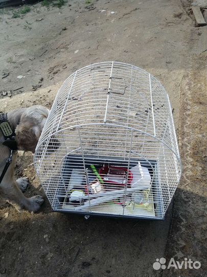 Клетка для попугая бу