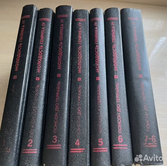 Исторический роман. Молодость Генриха 4