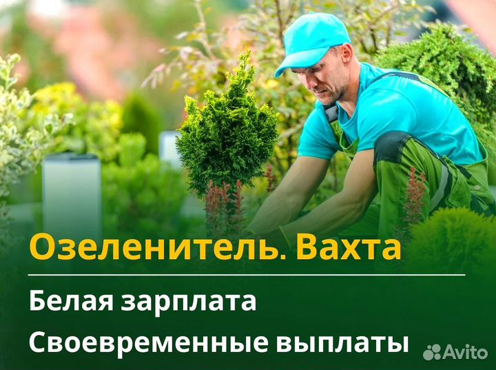 Озеленитель вахта 60/30 жилье питание