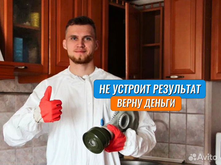 Уничтожение клопов, травить тараканов /Дезинфекция