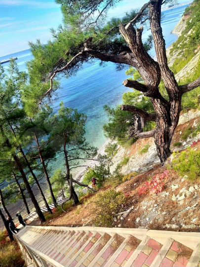 Дом 175 м² на участке 4,5 сот.