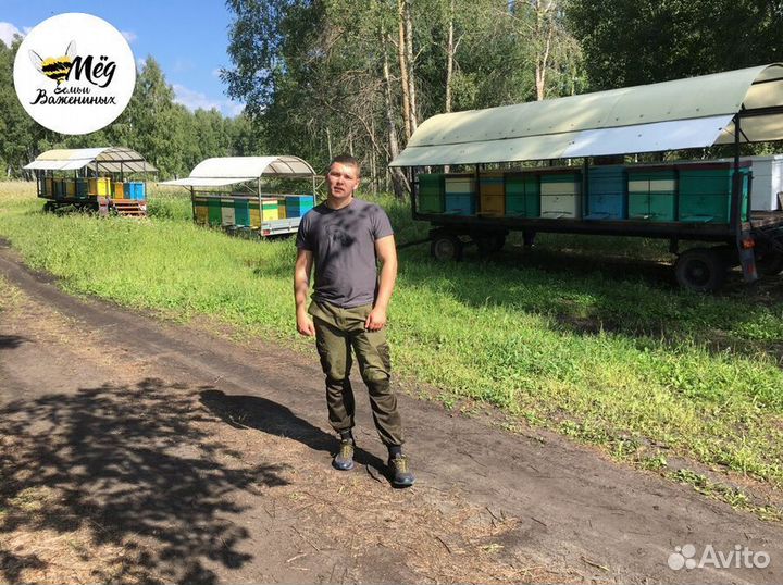 Мед свежий 2023. Гречишный, липовый, акациевый