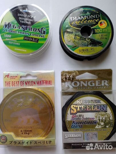 Леска летняя рыболовная