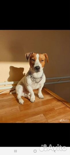 Клубная Джек девочка с документами