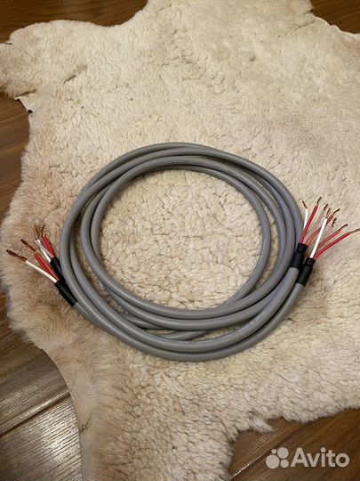 Акустический кабель Canare 4S11 2x2 метра