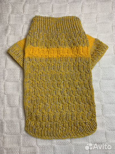 Одежда для животных