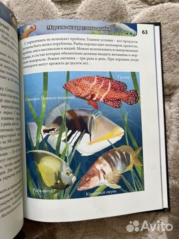 Энциклопедия аквариумные рыбки
