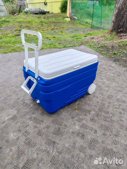 Кулер Холодильник