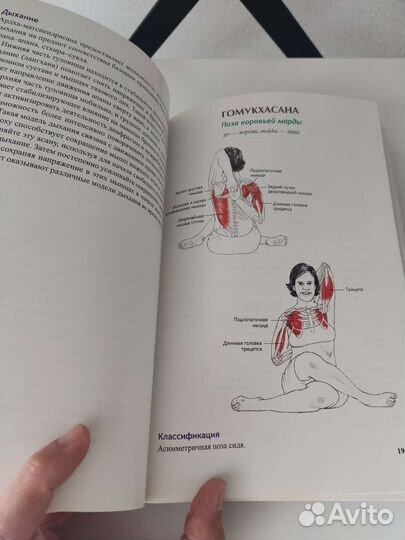 Анатомия йоги