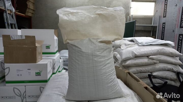 Семена кормовой свеклы Бригадир (Германия) 15кг