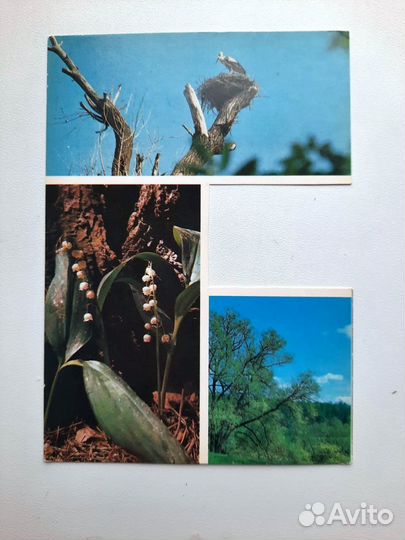 Комплект открыток СССР Времена года