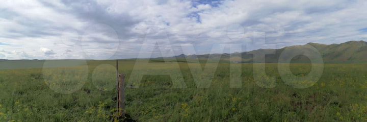 Участок 11 га (СНТ, ДНП)