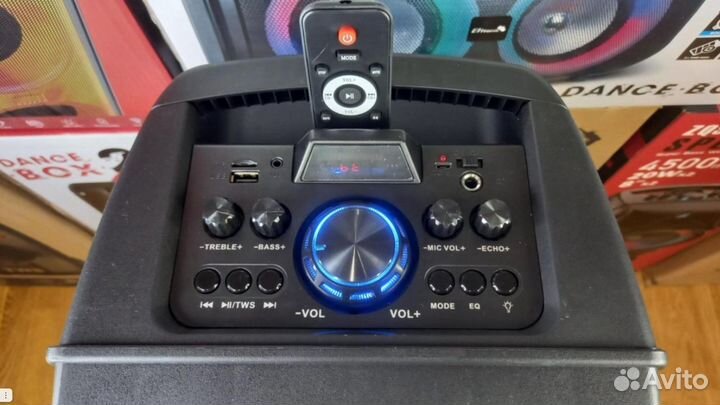 Колонка с беспроводным микрофоном