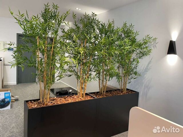 Кашпо-перегородка в офис