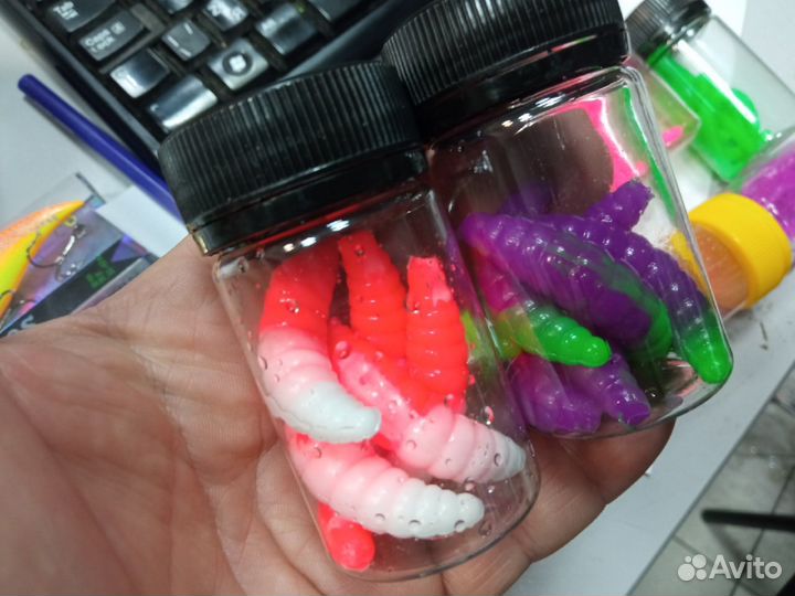 Бобровые хвосты и гигантские магготы